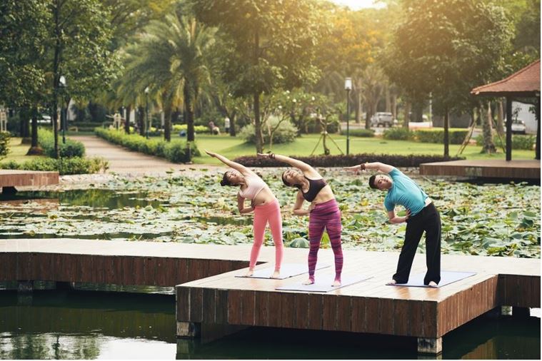 Wellness-Market